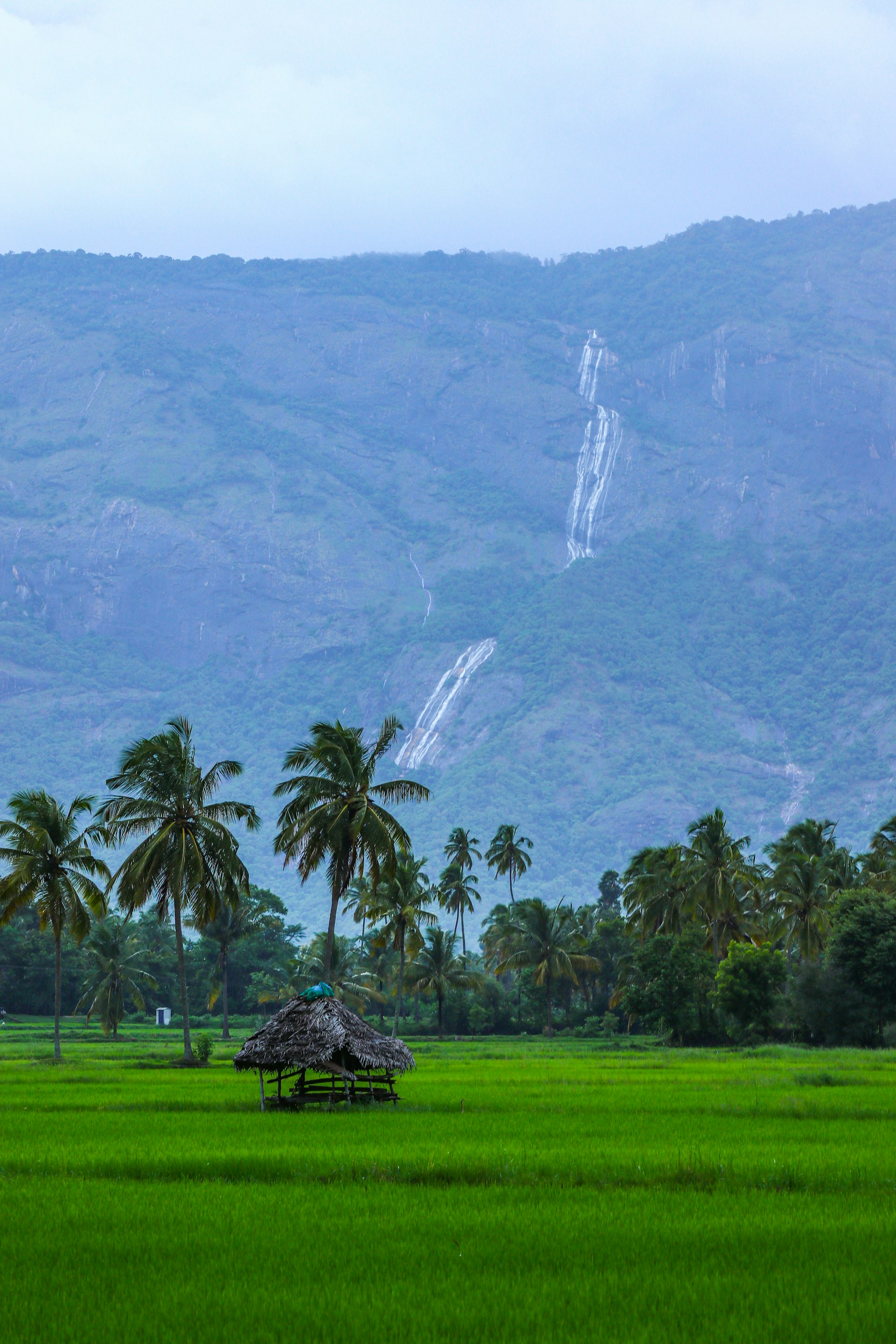 Kerala